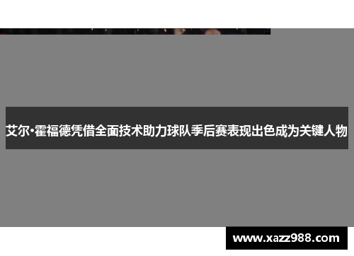 艾尔·霍福德凭借全面技术助力球队季后赛表现出色成为关键人物
