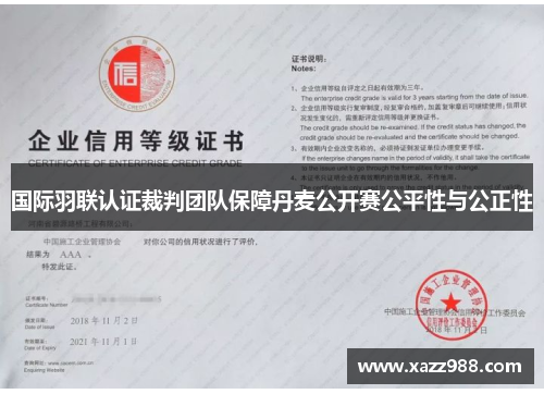 国际羽联认证裁判团队保障丹麦公开赛公平性与公正性