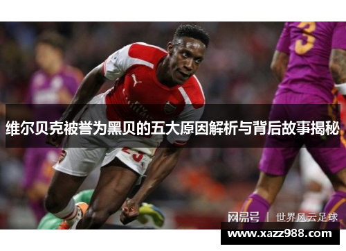 维尔贝克被誉为黑贝的五大原因解析与背后故事揭秘